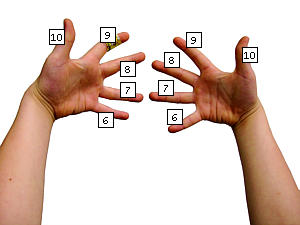 Fingermultiplikation